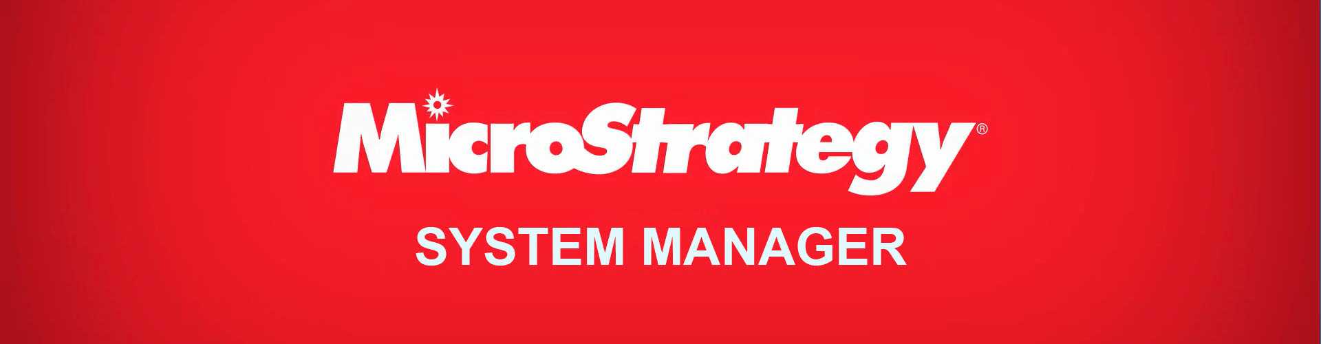 MicroStrategy System Manager
